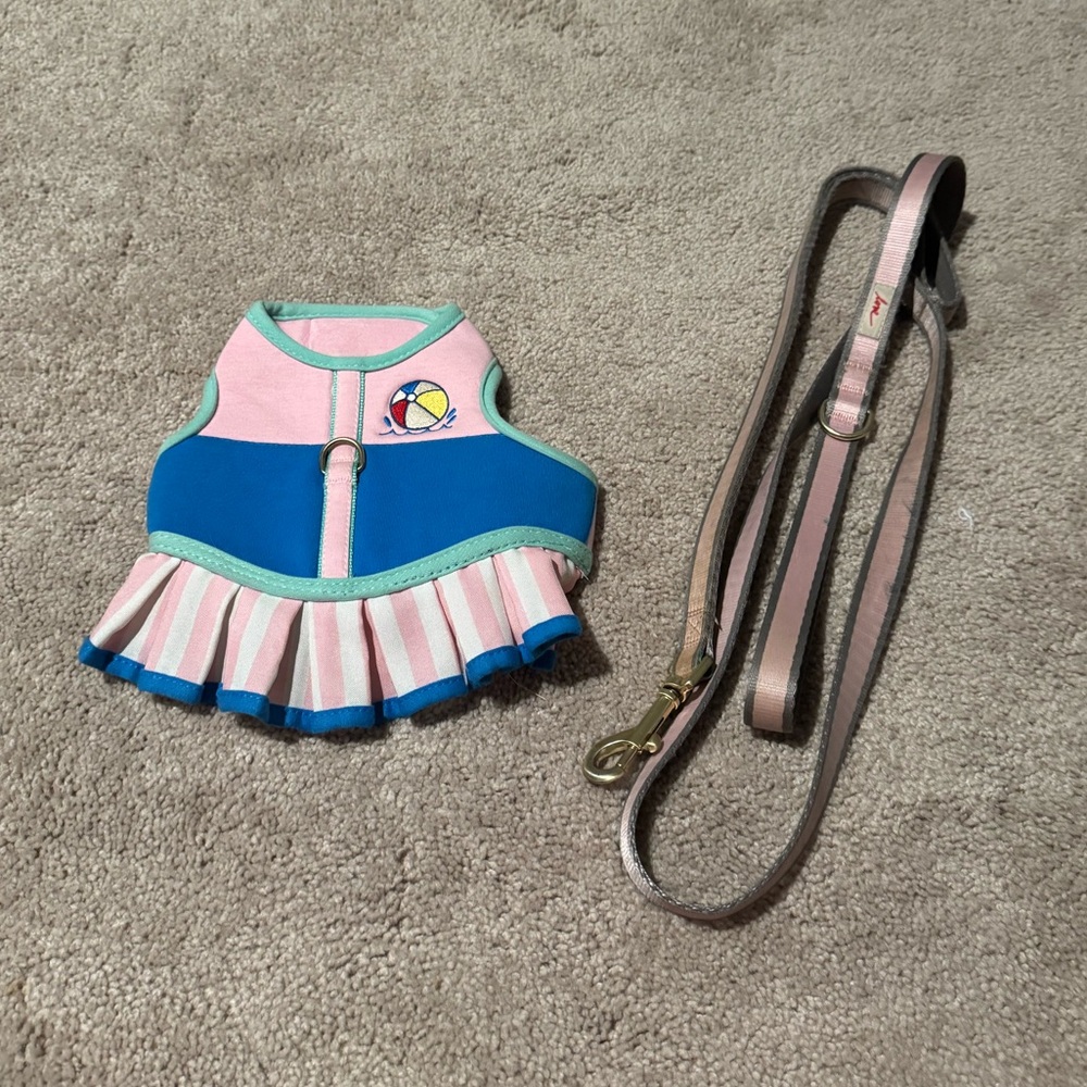 Ellen Degeneres Matching Dog Harness & Leash Set